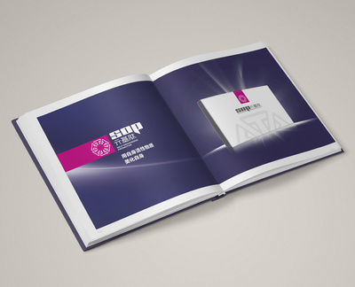 畫冊排版設(shè)計(jì) 元基企業(yè)房地產(chǎn)信息咨詢的品牌展示藝術(shù)